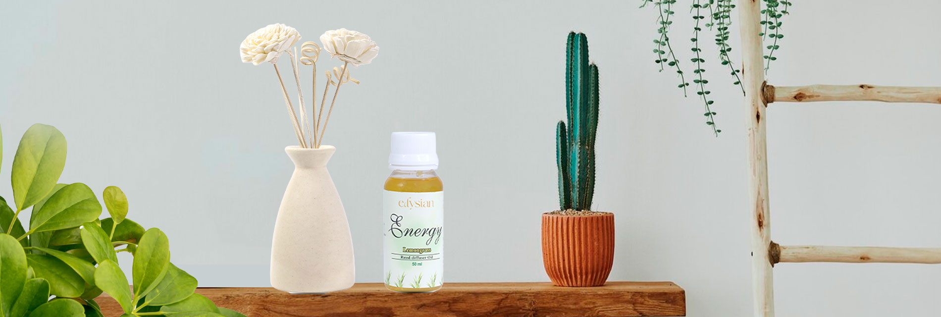 How to Store Reed Diffuser Oil for Lasting Freshness | Edysian