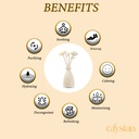 Edysian Ceramic Decorative Reed Diffuser Bottle/ Vase, With Lemongrass Oil Fragrance (50 ML)