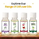 Explore-Our-Range-of-Diffuser-Oils.webp