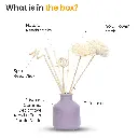 What-is-in-the-box.webp
