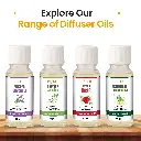 Explore-Our-Range-of-Diffuser-Oils.webp