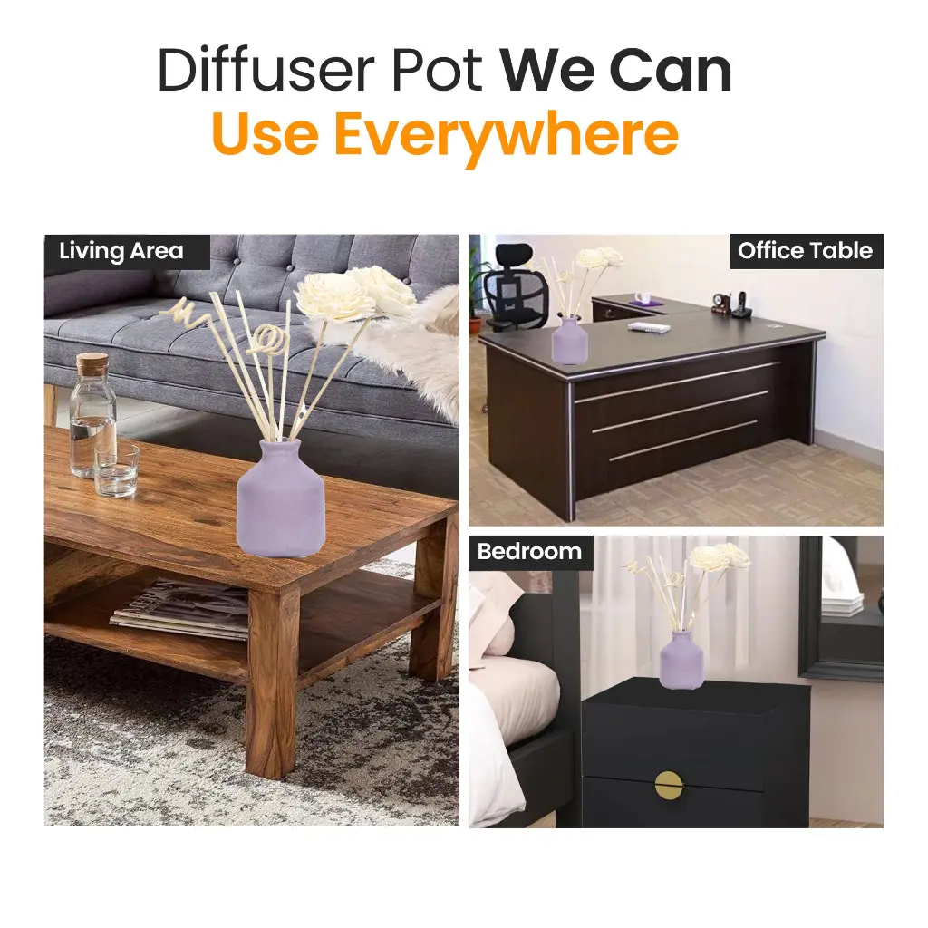 Diffuser-Pot-we-can-use-This-Places.webp