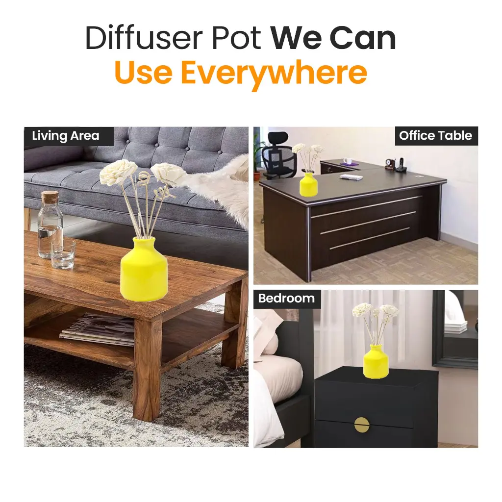 Diffuser-Pot-we-can-use-This-Places.webp