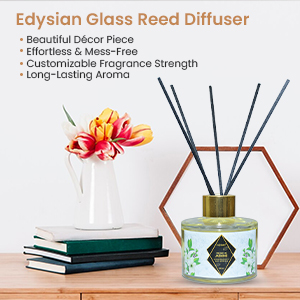 Glass Reed Diffuser Set, With Jasmine Oil Fragrance