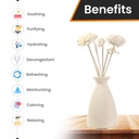 Off White Ceramic Reed Diffuser Set -  Ivory