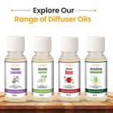 Green Ceramic Reed Diffuser Set -  Split