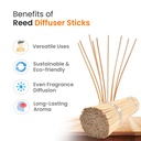 Reed Diffuser Sticks (20 pcs)