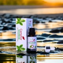 Camphor Pure & Natural Essential Oil By Edysian