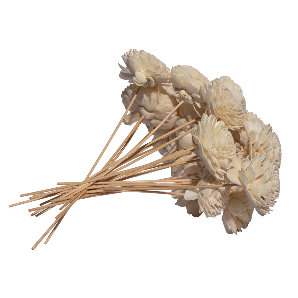 Edysian Floral Rattan Reed Diffuser Sticks 7.5 inches | Diffuser Sticks | Flower Head Sticks | Reed Sticks | Natural Rattan Stick | Reed Sticks Replacement | Decorative Diffuser Sticks (10 Pcs)