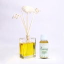 Edysian Glass Decorative Reed Diffuser Bottle/Glass Vase,   With Lemongrass Oil Fragrance (50 ML)
