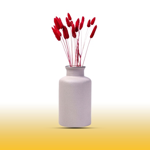 Edysian Vase Pot (6 inch, White)